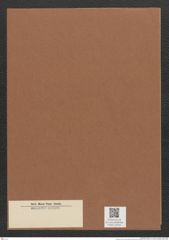 Diatomeae indet. Zeichnungen Sammlung Grunow Mappe 02324 (Herbarium_W_Grunow_drawings_Folder_02324)